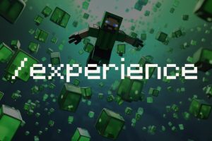 commande experience xp minecraft