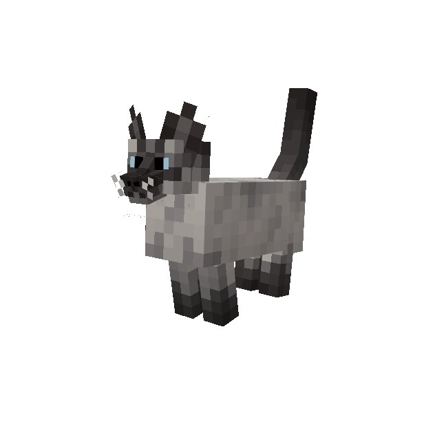animation course chat better cats pack de texture minecraft