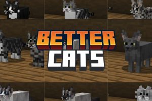 better-cats-texture-pack-minecraft