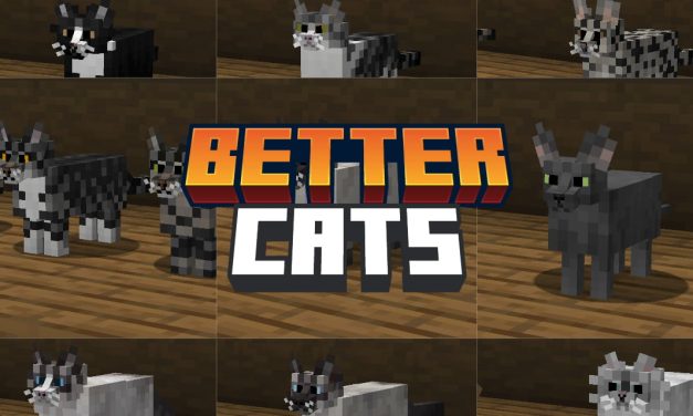 Better Cats : Chats Réalistes et Variés – Pack de Texture Minecraft – 1.8.9 → 1.20.1