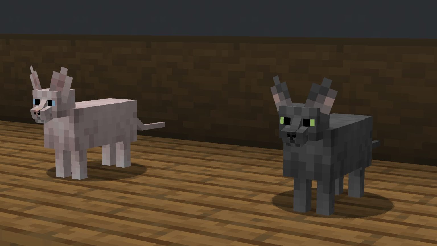 Better Cats : Chats Réalistes et Variés – Pack de Texture Minecraft – 1 ...