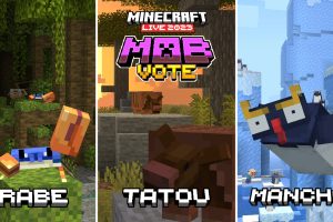 minecraft-mob-vote-2023-decouvrez-les-3-creatures-et-comment-voter-au-minecraft-live-2023