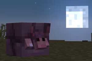 minecraft tatou