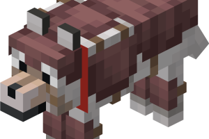 Armure de loup Minecraft : Comment l'obtenir ? armure de loup minecraft