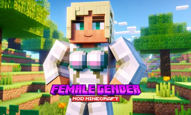 Female Gender Mod : Nouvelle Apparence avec Seins – Mod Minecraft – 1.16.4 → 1.20.2