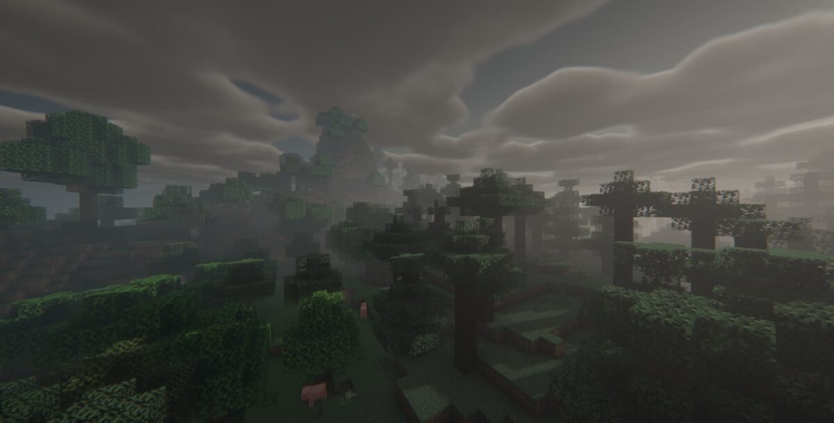 Image montrant l'effet de shader Insanity dans Minecraft, avec une forêt dense et brumeuse sous un ciel nuageux et sombre. La lumière diffuse à travers les arbres, créant une ambiance mystérieuse.