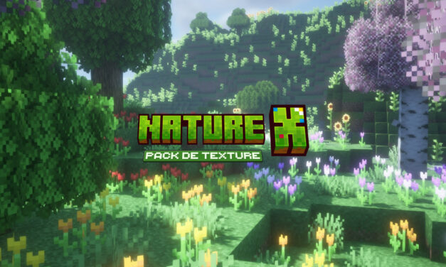 Nature X : Nature en Haute Définition – Pack de Texture Minecraft – 1.20 → 1.21