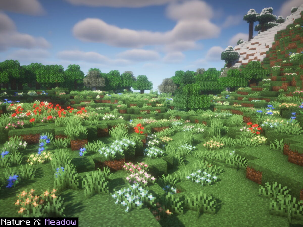 Nature X Resource Pack Minecraft textures prairies