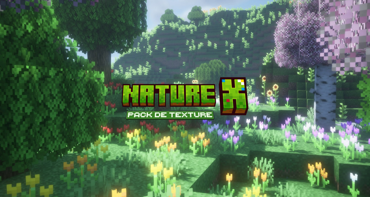 Nature X : Nature en Haute Définition – Pack de Texture Minecraft – 1.20 → 1.21