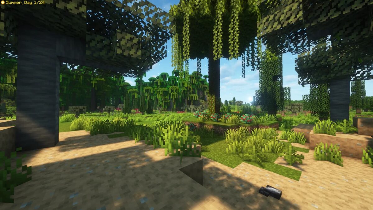 Paysage de jungle variée dans Tales of Aged Minecraft avec différentes types de végétation et une flore luxuriante.