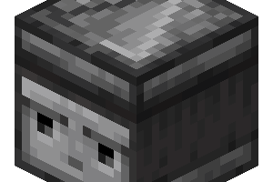 observateur minecraft