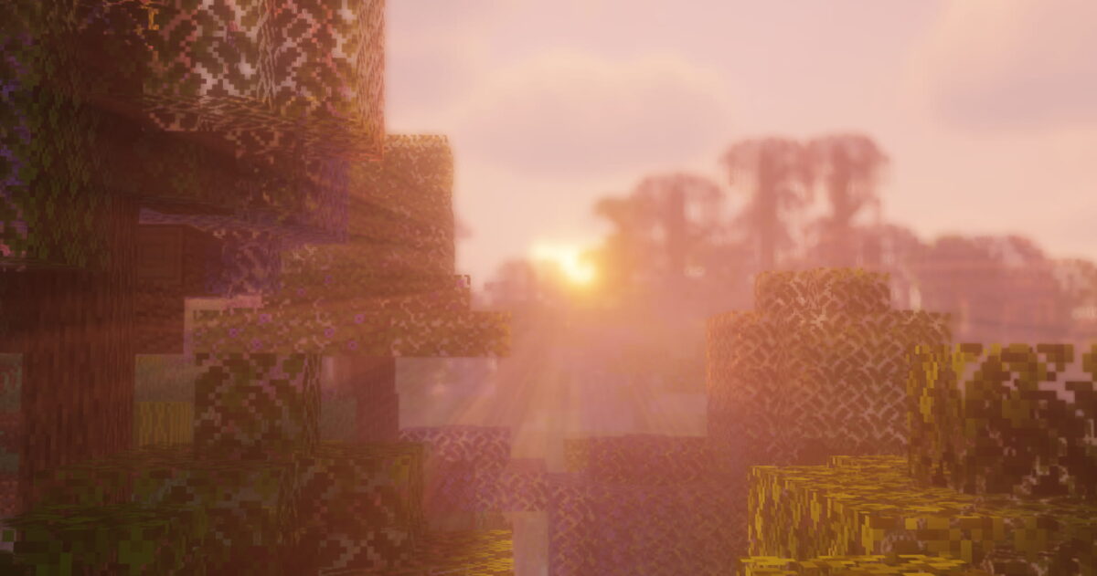 Rayons du soleil perçant à travers la forêt dense dans Minecraft avec le Solas Shader activé.