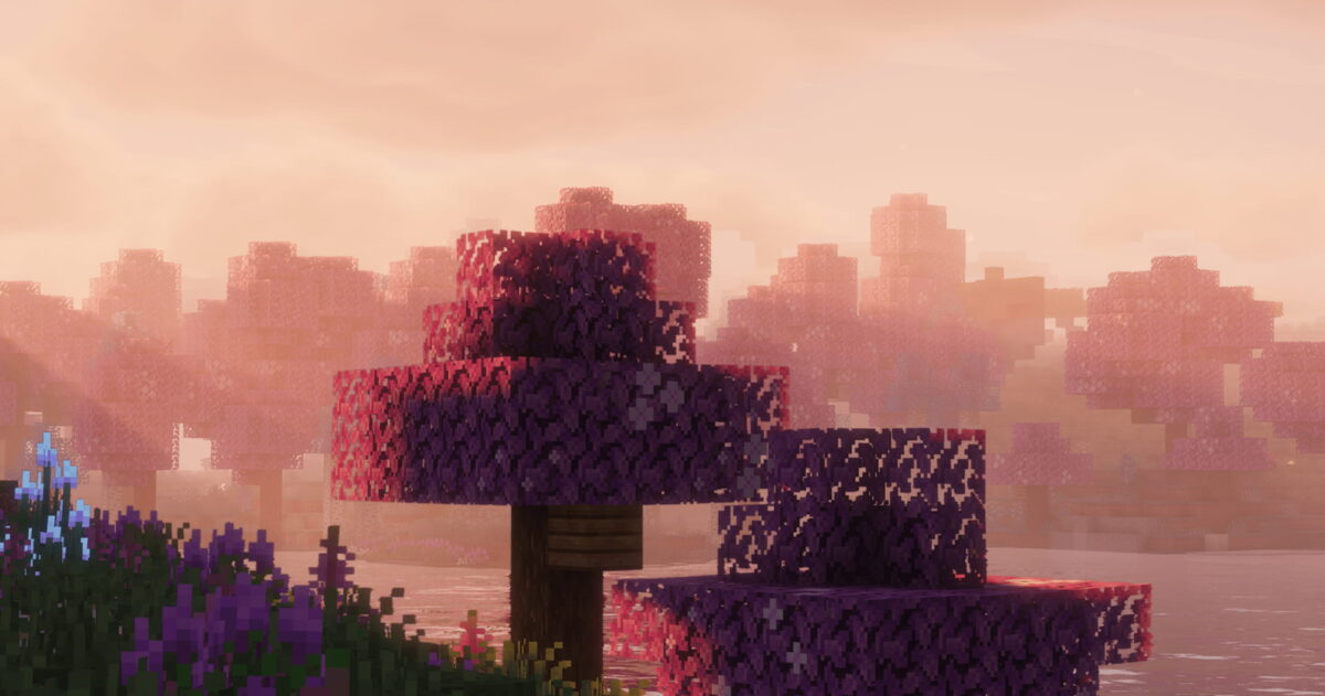 Vue époustouflante au lever du soleil avec des arbres rose vif dans Minecraft utilisant le Solas Shader.