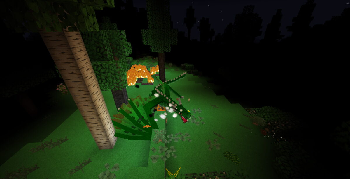 Combat contre un dragon vert la nuit dans MC Eternal Minecraft