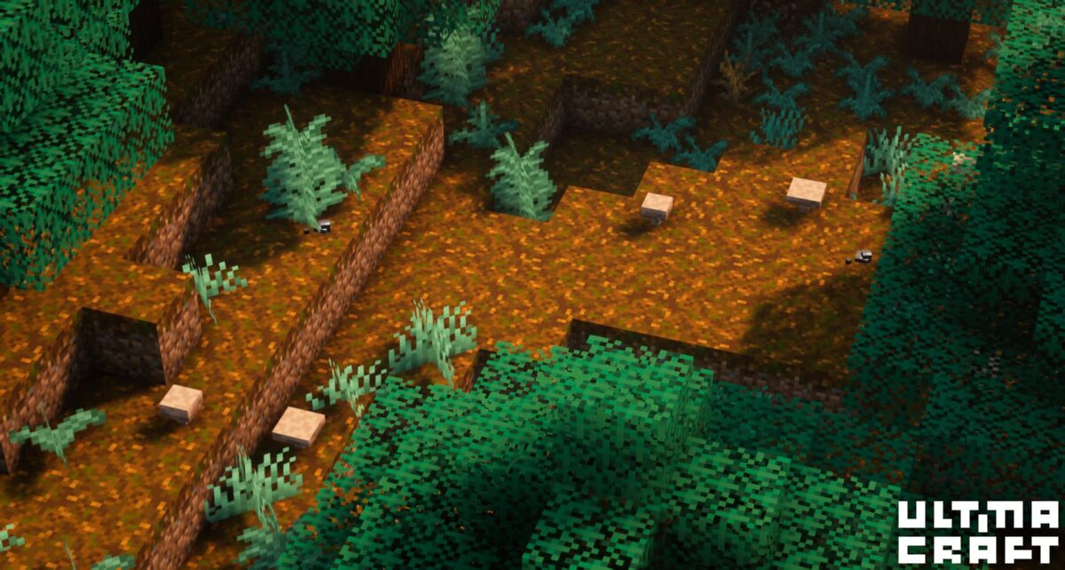 mousses et fougères sur le sol dans une forêt avec UltimaCraft pack de textures Minecraft