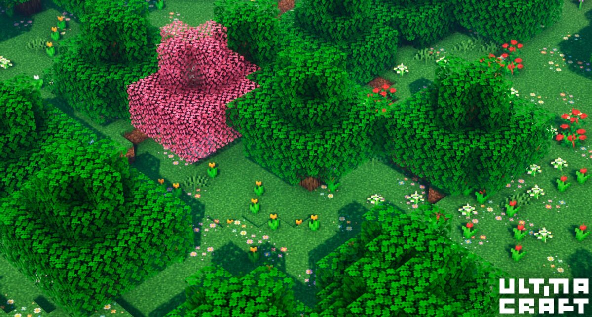 forêt de bouleaux roses et fleurs avec le pack de textures UltimaCraft pour Minecraft