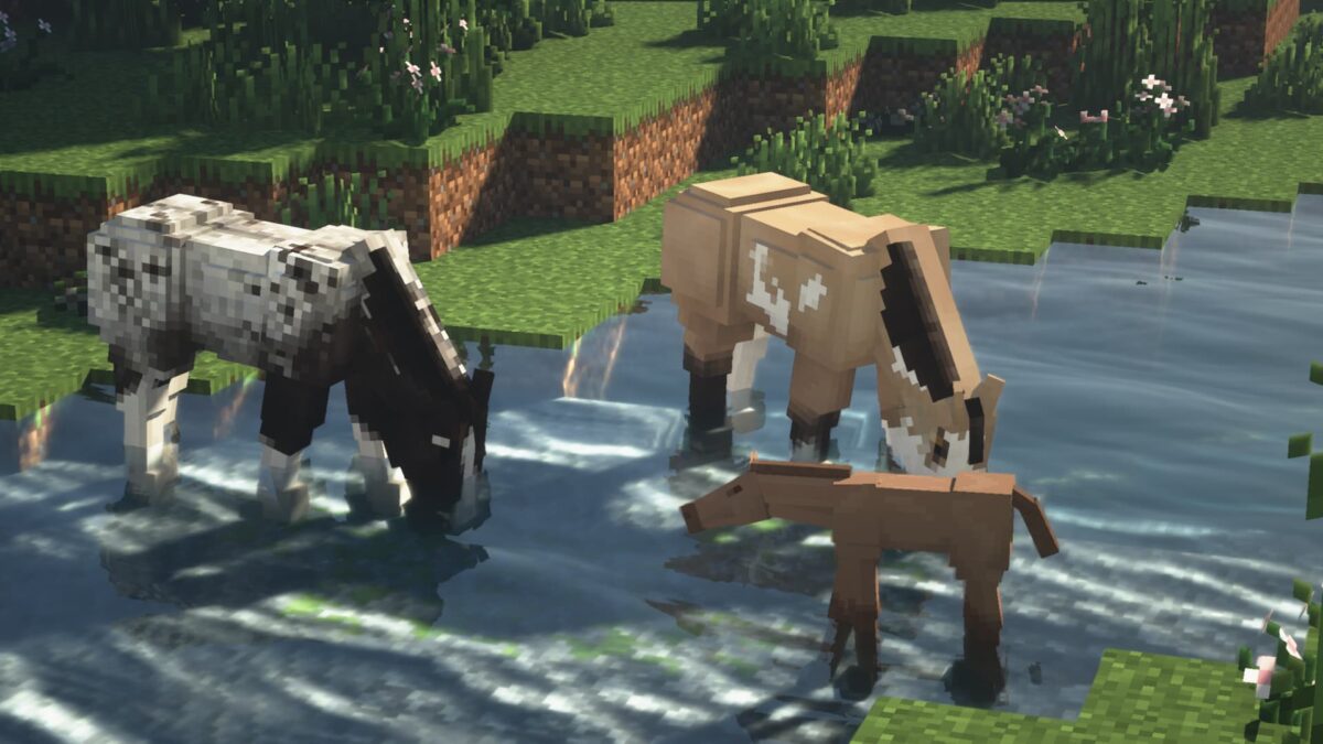 Star Worm Equestrian famille de chevaux buvant à la rivière dans Minecraft