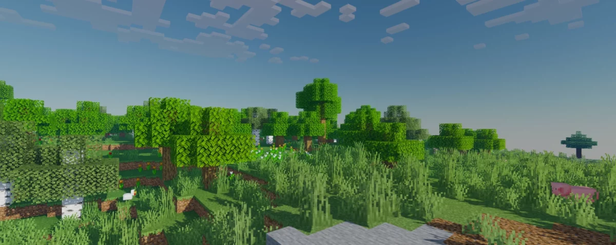 forêt dense avec des herbes hautes et des arbres feuillus, bloop shaders minecraft