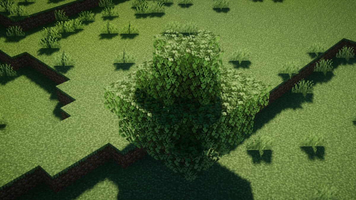 buisson dense projetant une ombre détaillée sur l’herbe avec le shader Ebin Resurrected pour Minecraft