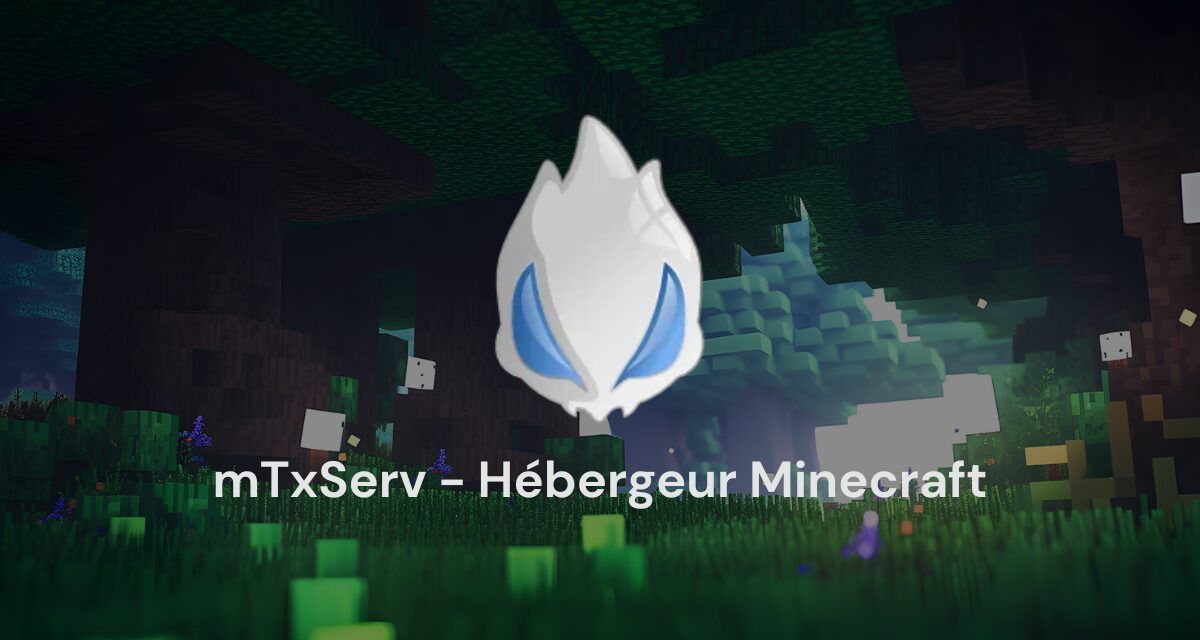 mTxServ renouvelle ses offres pour répondre à toutes les attentes des joueurs Minecraft !