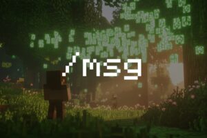 Comment utiliser la commande /msg dans Minecraft ? commande /msg Minecraft