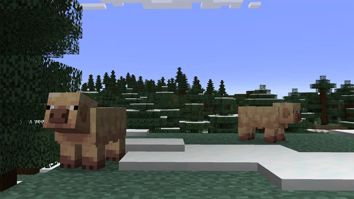 Cochon froid Minecraft explorant un biome enneigé – variante ajoutée dans le game drop 2025