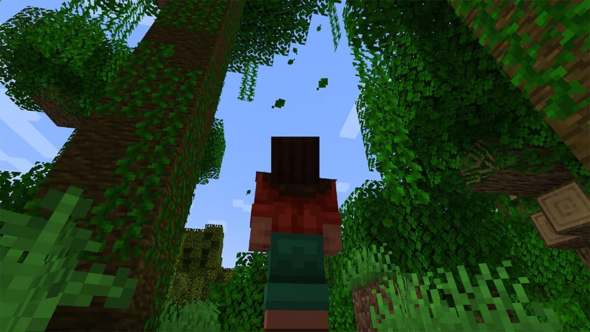 Feuilles tombantes dans une forêt de Minecraft – nouvelle fonctionnalité de la mise à jour game drop 2025