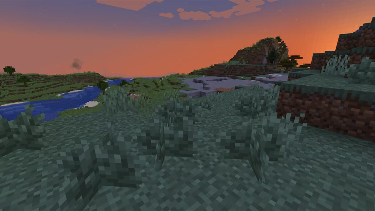 Nouveau buisson décoratif de Minecraft poussant sur une colline, avec une rivière en contrebas et un coucher de soleil à l’horizon.