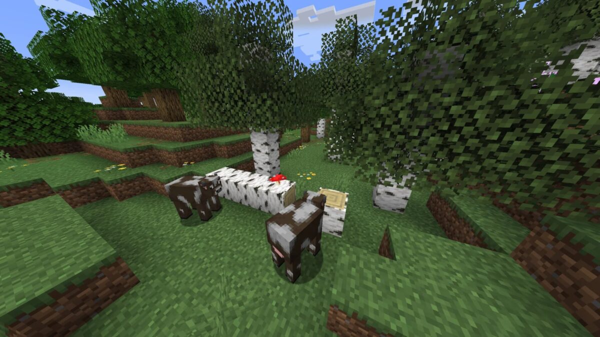 Capture d’écran de Minecraft montrant un arbre de bouleau tombé au sol, entouré de vaches, après la mise à jour 25w09a