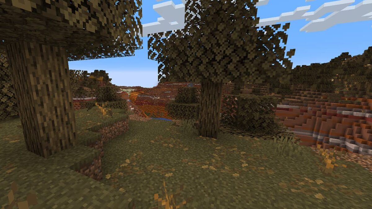 Feuilles tombées sur le sol dans Minecraft, s’adaptant à la couleur du biome environnant.