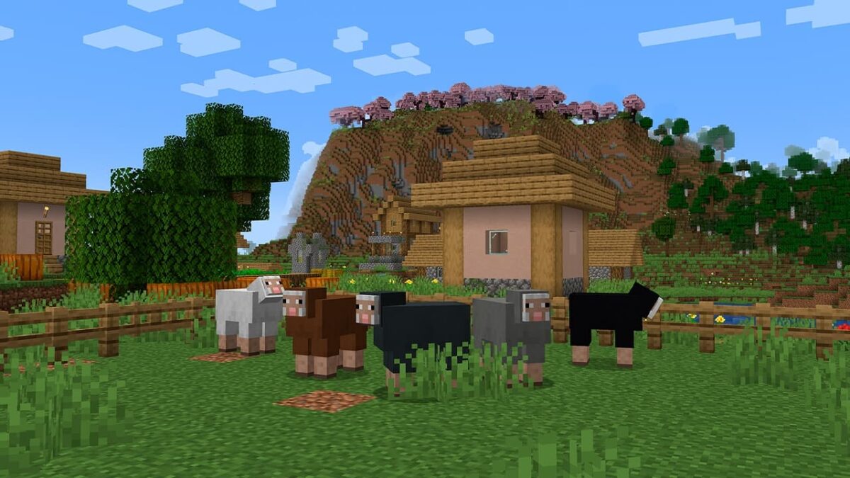 moutons noirs, bruns et gris regroupés dans un village Minecraft selon leur biome naturel