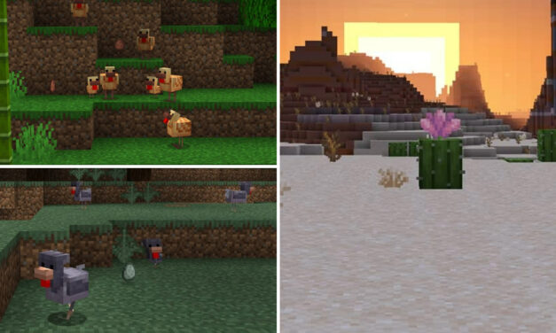 Minecraft : Poules bicolores, cactus fleuris et herbe sèche, la nature de Minecraft s’étoffe !