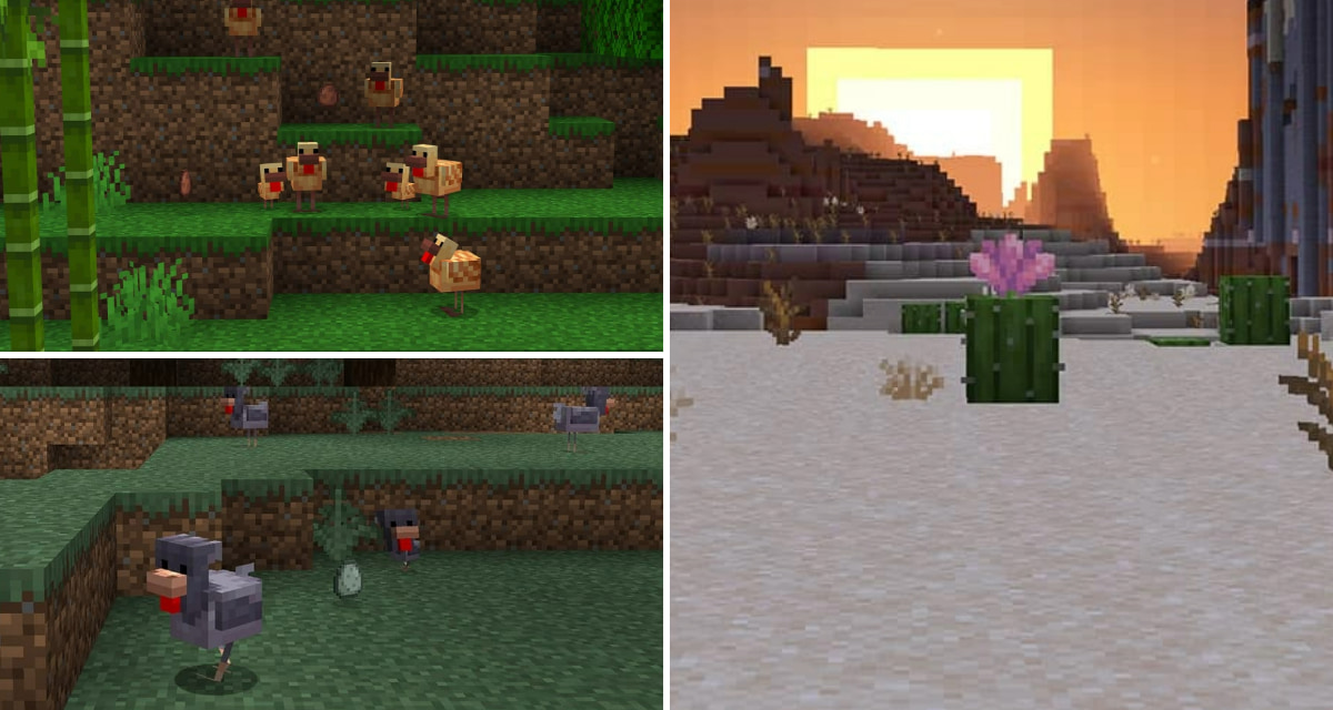 Minecraft : Poules bicolores, cactus fleuris et herbe sèche, la nature de Minecraft s’étoffe !