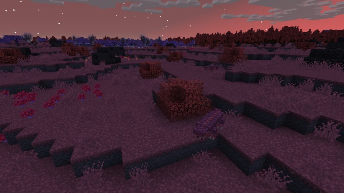 forêt d'érables sous un coucher de soleil dans l'Everdawn du mod blue skies pour Minecraft, avec des herbes sombres et une ambiance crépusculaire