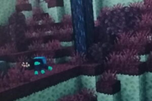 minecraft-un-mysterieux-mob-repere-dans-une-version-non-identifiee-du-jeu