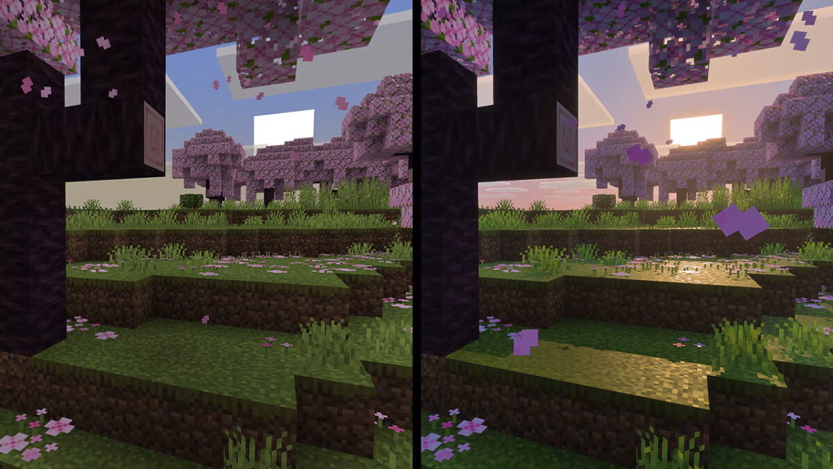 Biome de cerisiers en fleurs dans Minecraft, comparé avec et sans le Vibrant Shader, révélant une lumière chaude et un rendu atmosphérique.