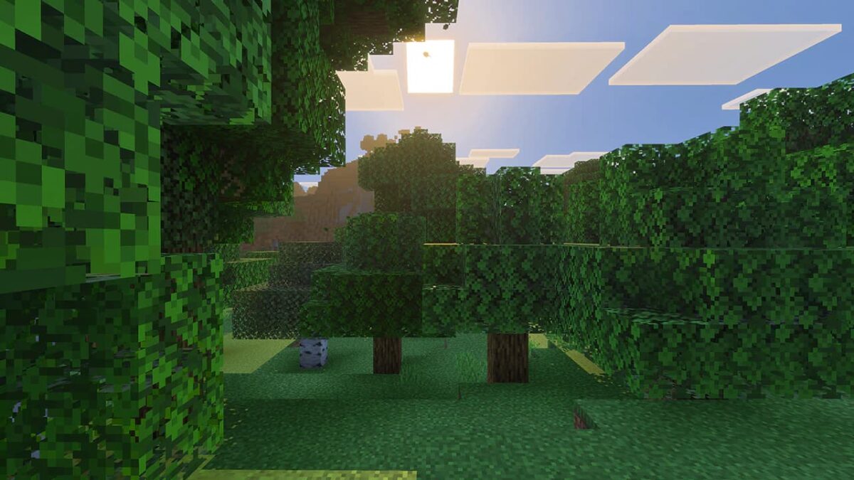 vibrant visuals minecraft forêt éclairage dynamique mise à jour graphique