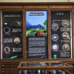 a-paris-une-exposition-revele-les-veritables-mineraux-qui-ont-inspire-minecraft