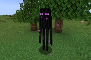 enderman minecraft