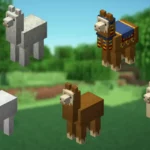 Lama Minecraft - Nourrir, apprivoisement et reproduction
