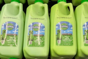 le-lait-de-creeper-minecraft-est-vert-grace-a-des-colorants-controverses