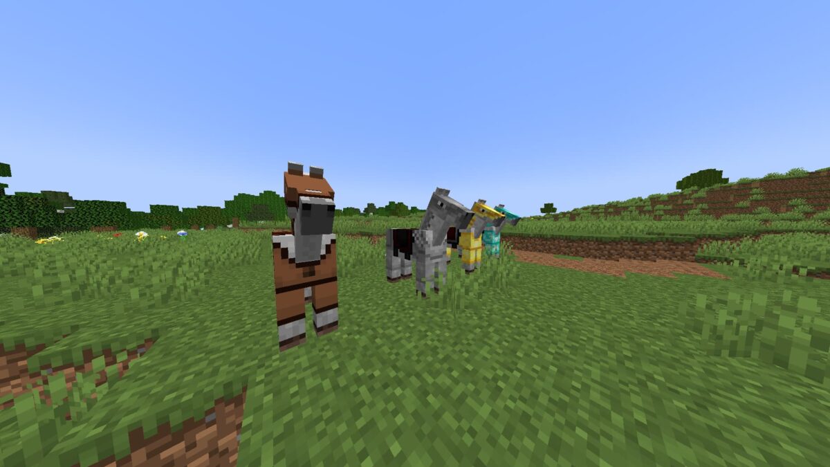 Chevaux équipés d’armures en cuir, fer, or et diamant sur un champ d’herbe dans Minecraft.