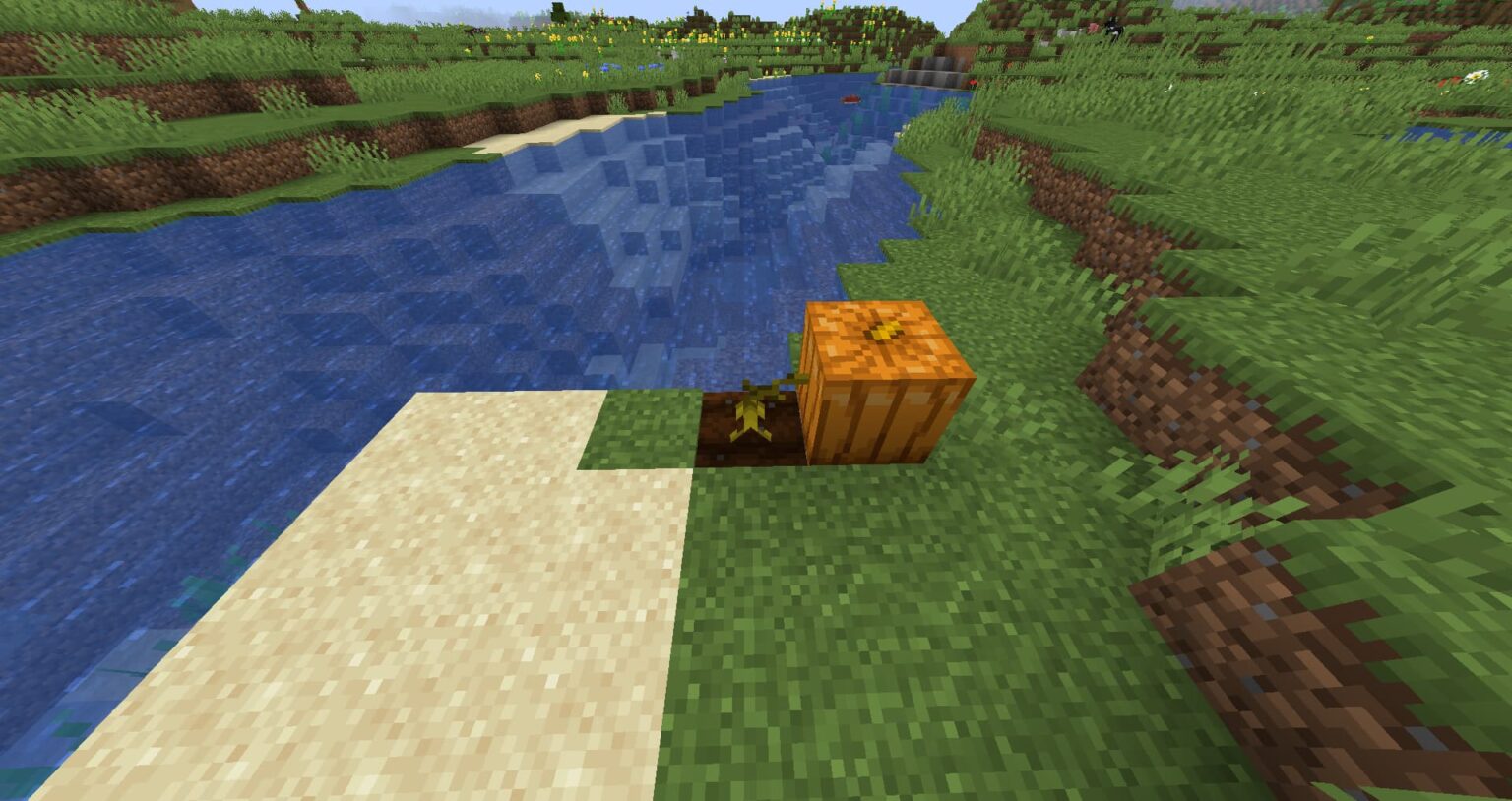 Citrouille Minecraft - Sculpter, culture et utilisation | Minecraft.fr