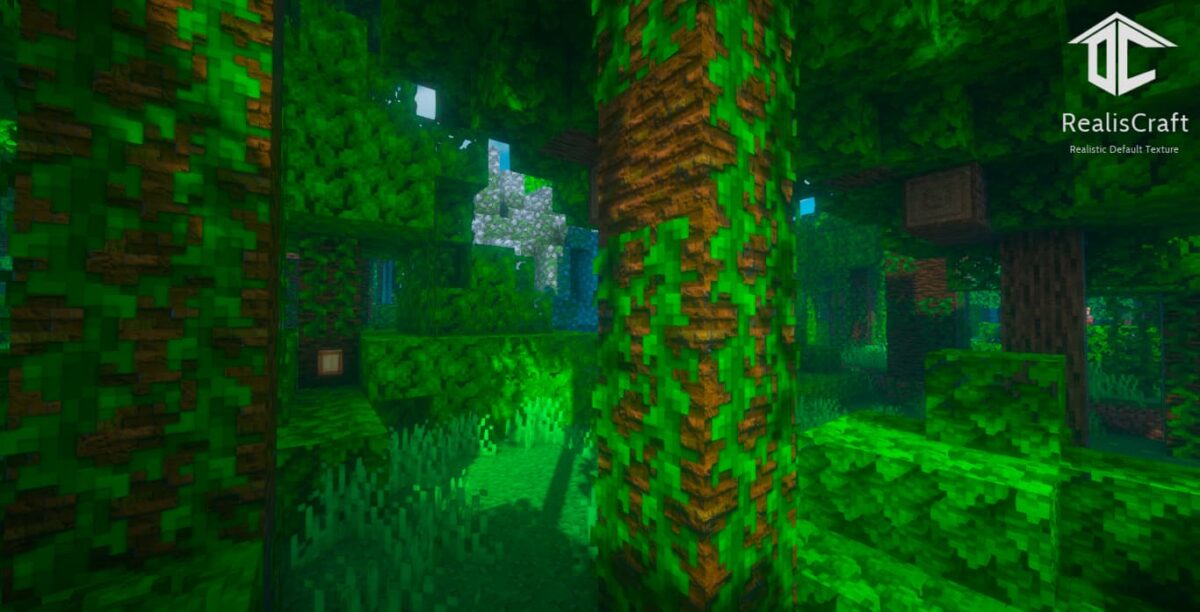 Pack de texture Minecraft RealisCraft JE Demo 128x : végétation de jungle avec textures réalistes sur les troncs et les feuilles