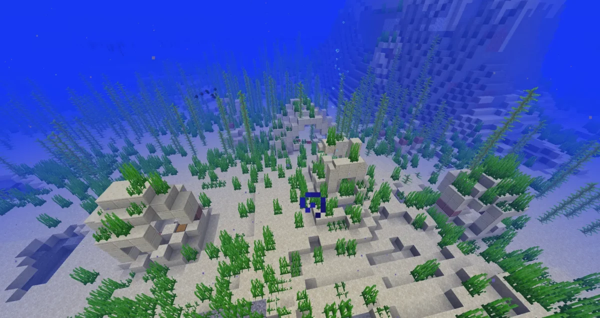 Petites structures en grès générées dans un océan tiède, typiques des ruines chaudes dans Minecraft