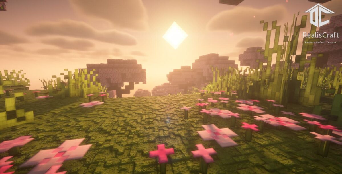 Pack de texture Minecraft RealisCraft JE Demo 128x : prairie avec fleurs roses et lumière douce du matin