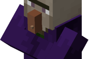 sorciere minecraft