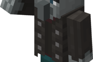 vindicateur minecraft