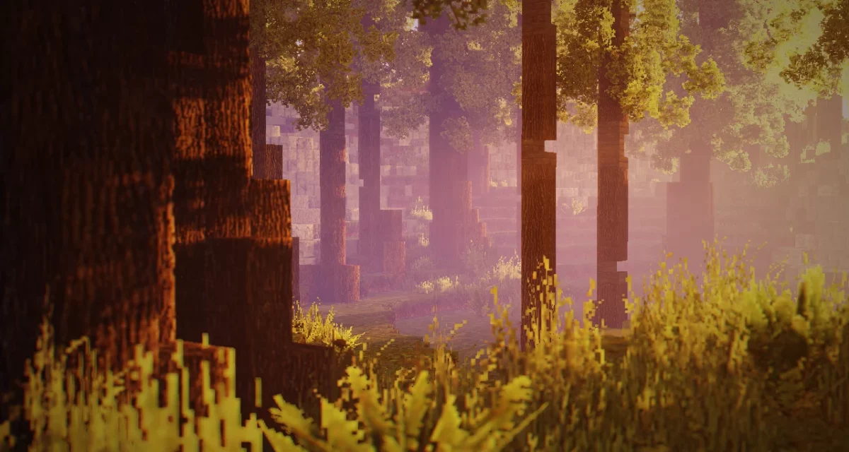 Forêt de Minecraft traversée par une lumière dorée à travers les arbres, effet brumeux du shader RedHat.