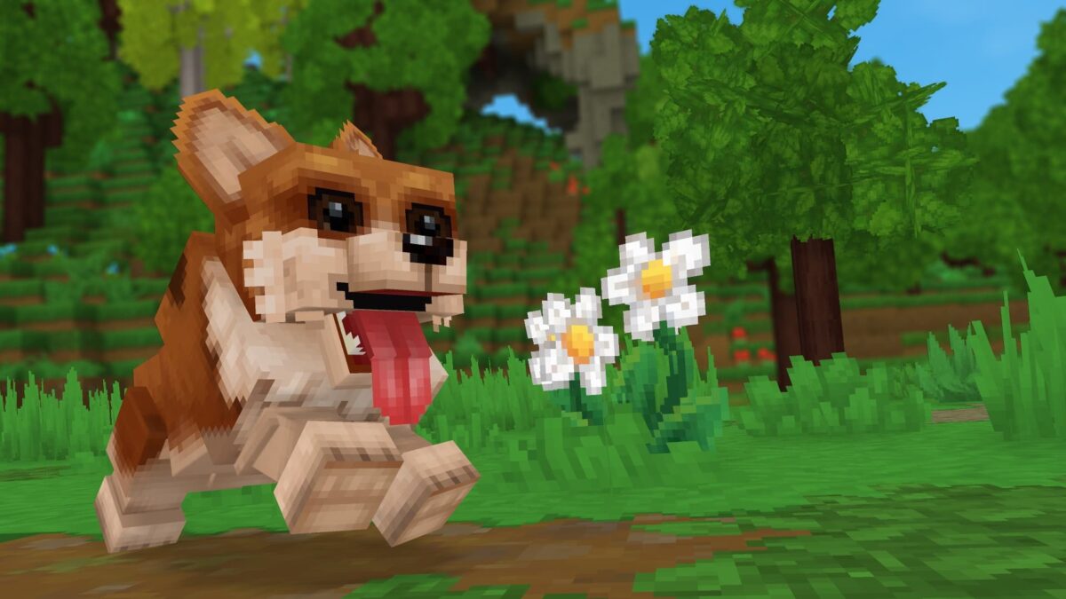 Un chien voxelisé de Hytale court joyeusement dans un décor verdoyant, image en décalage avec la complexité technique du projet en 2021